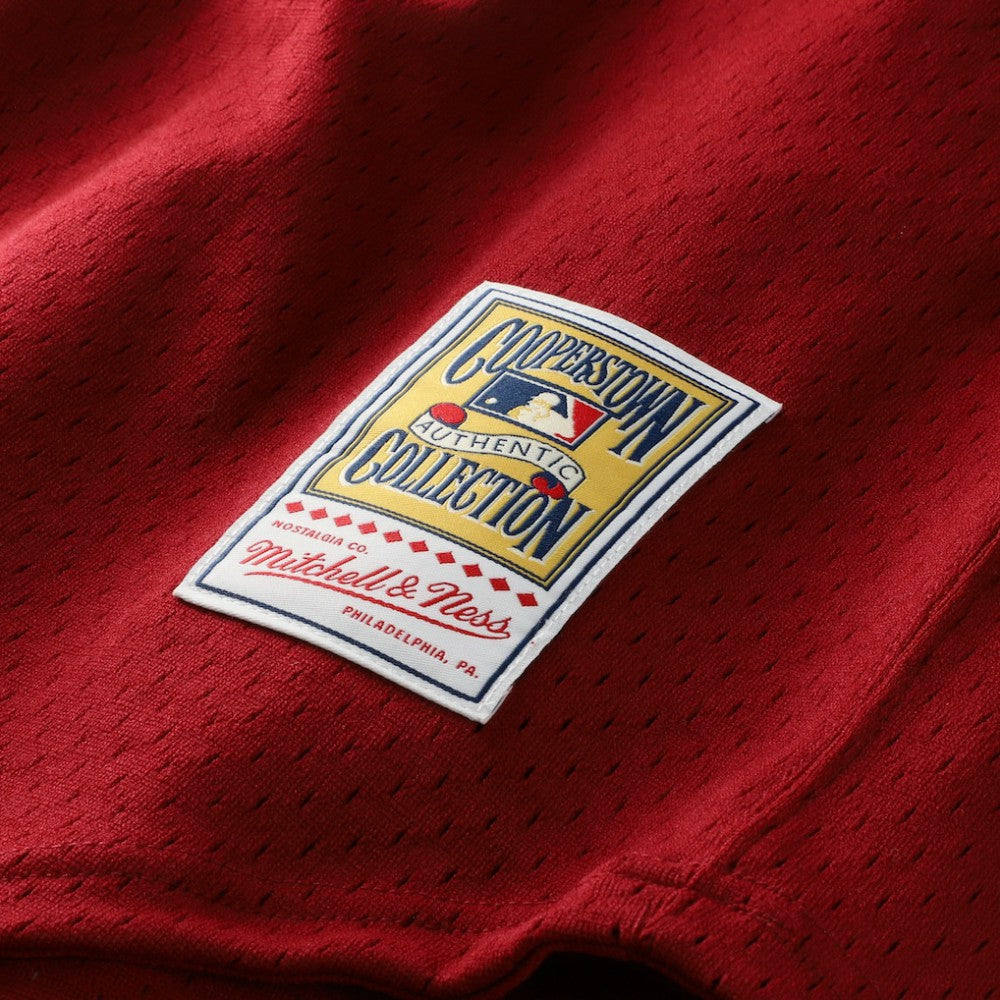 Darren Daulton Philadelphia Phillies Mitchell & Ness Authentic Batting Practice Jersey - Scarlet Jerseys