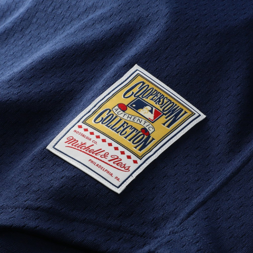 Craig Biggio Houston Astros Mitchell & Ness Authentic Batting Practice Jersey - Navy Jerseys