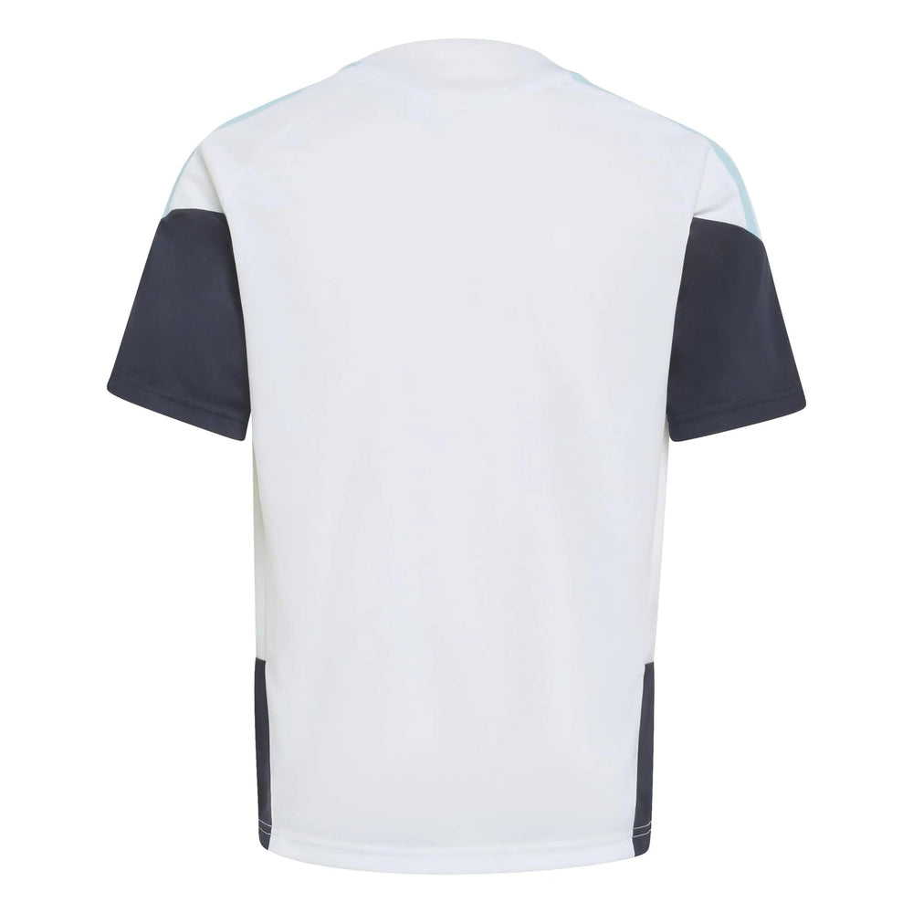 Adidas 2026 Argentina Youth Training Soccer Jersey White