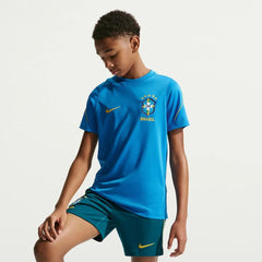 Nike 2026-27 Brazil Youth Strike Top Light Photo Blue/Light Menta/Midwest Gold